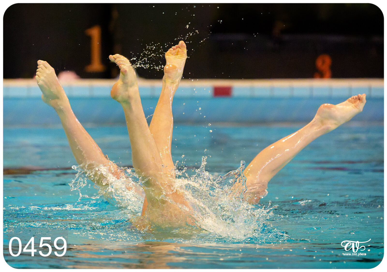 CHAMPIONNAT DE FRANCE DE NATATiON ARTISTIQUE N1 & ELITE 2026